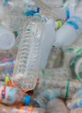 Imagen Servicio Plastico